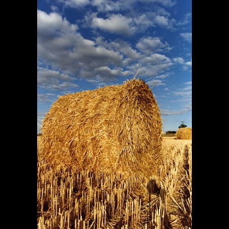 Straw Bales