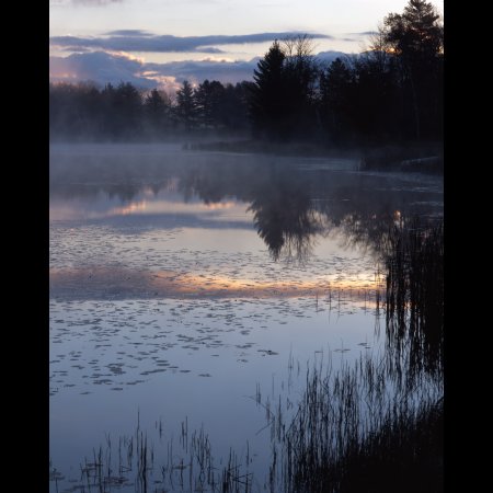 Bliss Pond